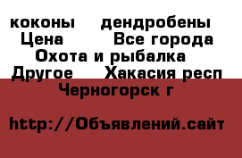 коконы    дендробены › Цена ­ 25 - Все города Охота и рыбалка » Другое   . Хакасия респ.,Черногорск г.